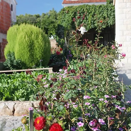 Apartmán Stari Grad 5730a
